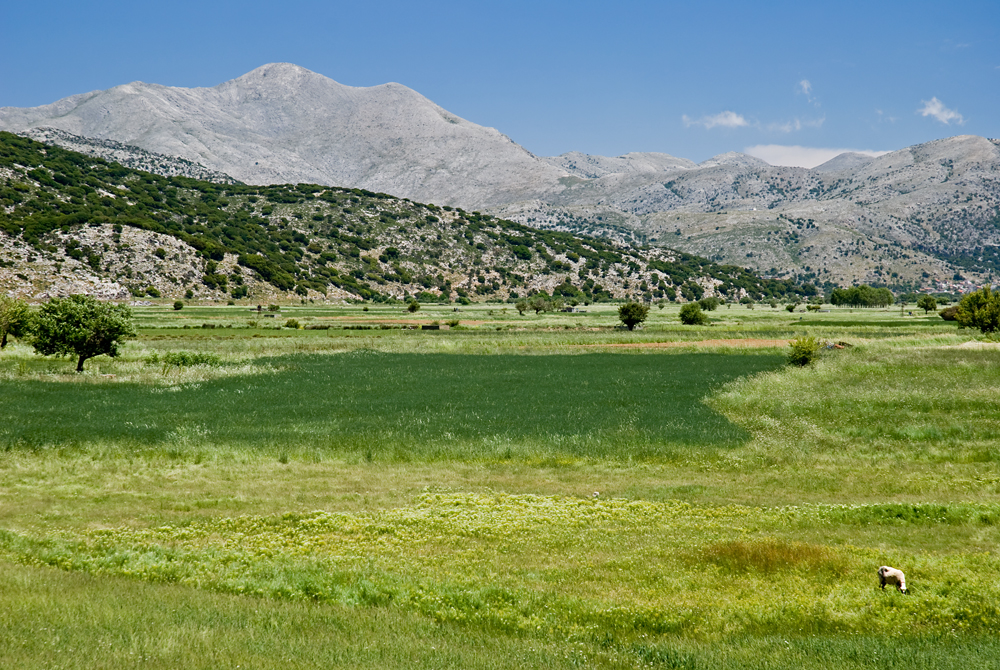 273_Kreta_Lasithi.jpg