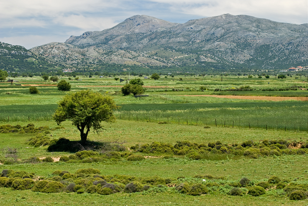 275_Kreta_Lasithi.jpg