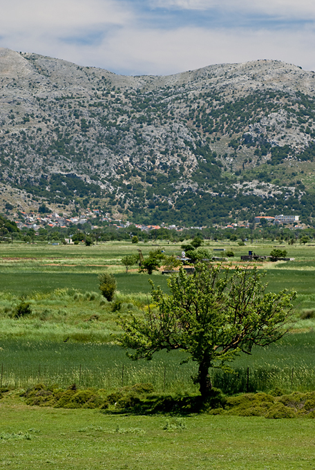 276_Kreta_Lasithi.jpg