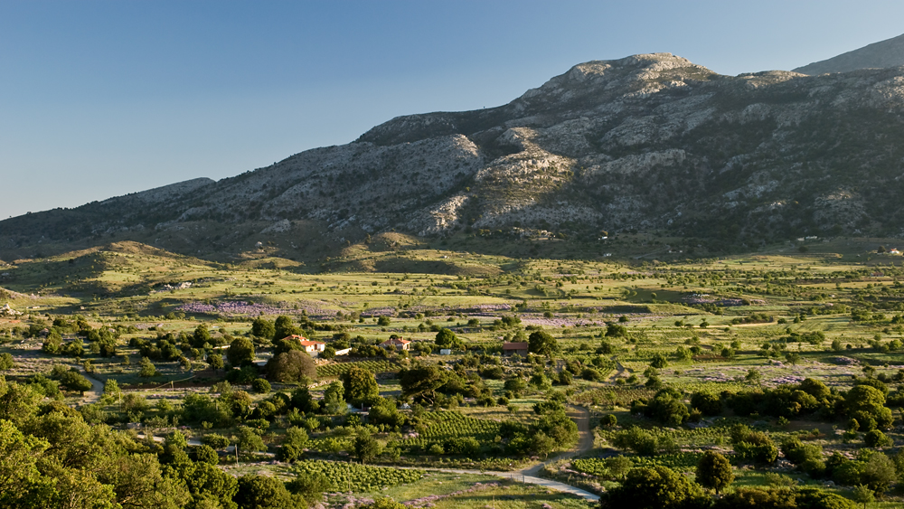 295_Kreta_Katharo.jpg