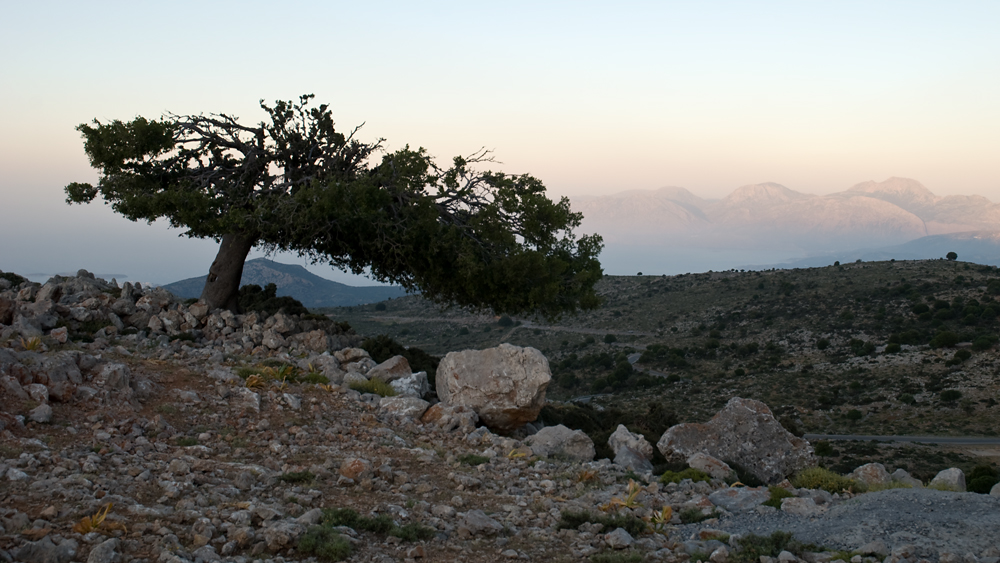 296_Kreta_Katharo.jpg