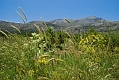 267_Kreta_Lasithi