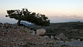 296_Kreta_Katharo