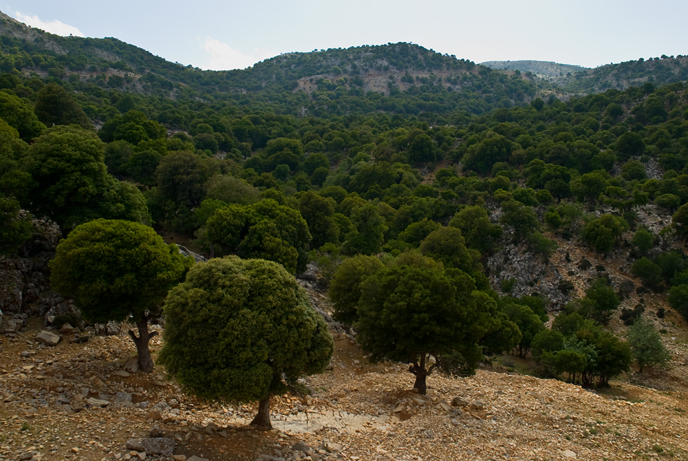 349_Kreta_Katharo.jpg
