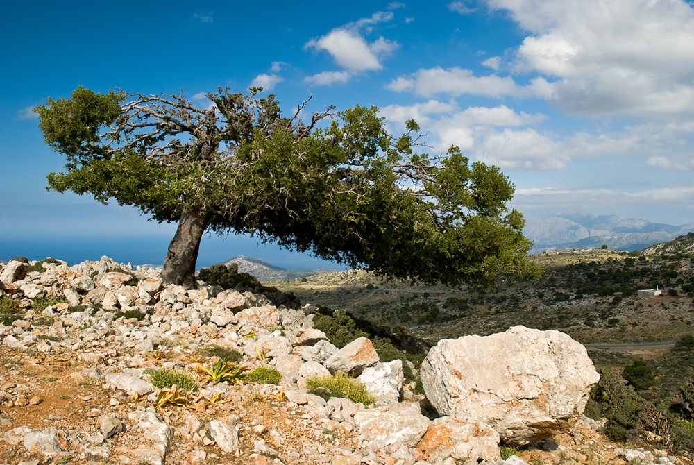 351_Kreta_Katharo.jpg