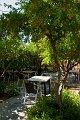 305_Kreta_Kritsa