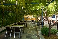 306_Kreta_Kritsa