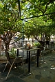 307_Kreta_Kritsa