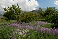 340_Kreta_Katharo