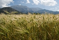 341_Kreta_Katharo