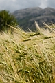 342_Kreta_Katharo