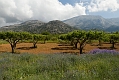344_Kreta_Katharo