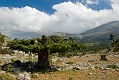 346_Kreta_Katharo