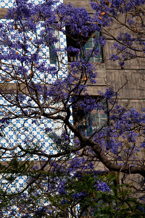 003_Madera_Funchal.jpg