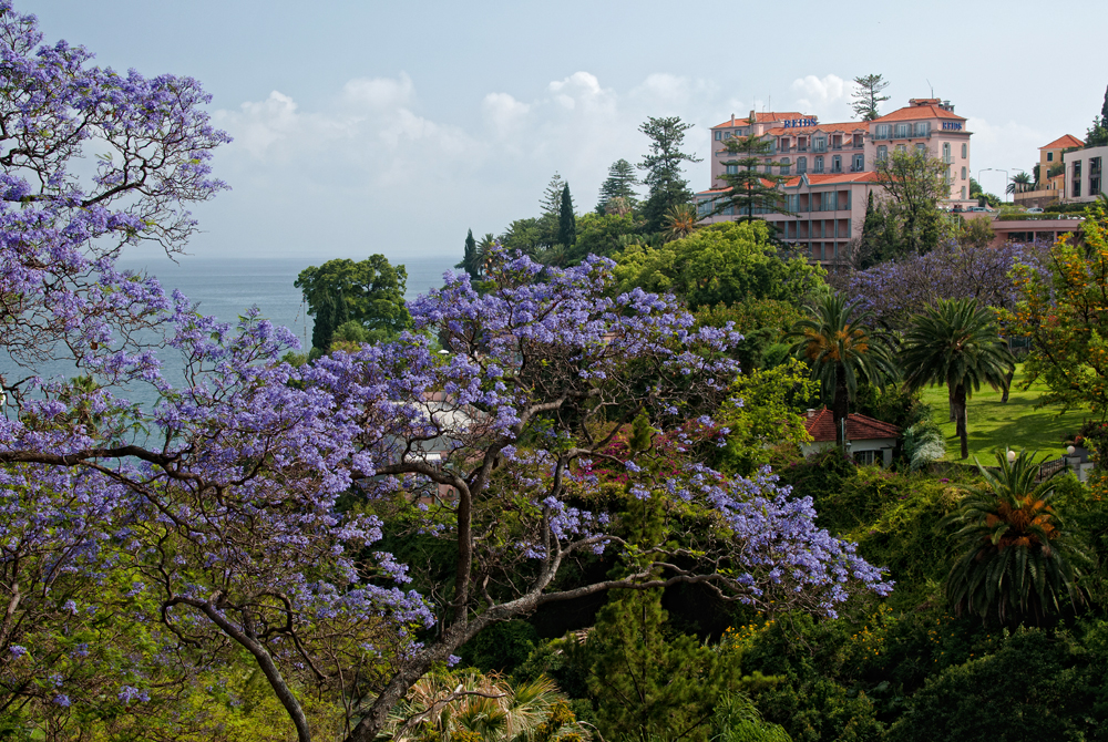 007_Madera_Funchal.jpg
