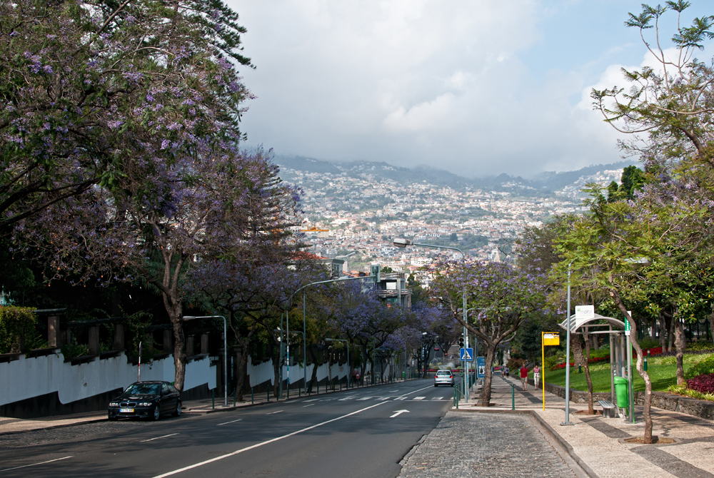 010_Madera_Funchal.jpg