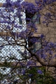 003_Madera_Funchal