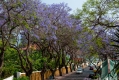 005_Madera_Funchal