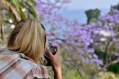 008_Madera_Funchal