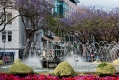 012_Madera_Funchal