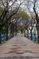 013_Madera_Funchal