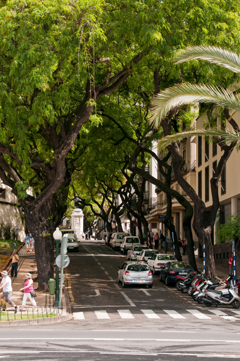 711_Madera_Funchal.jpg