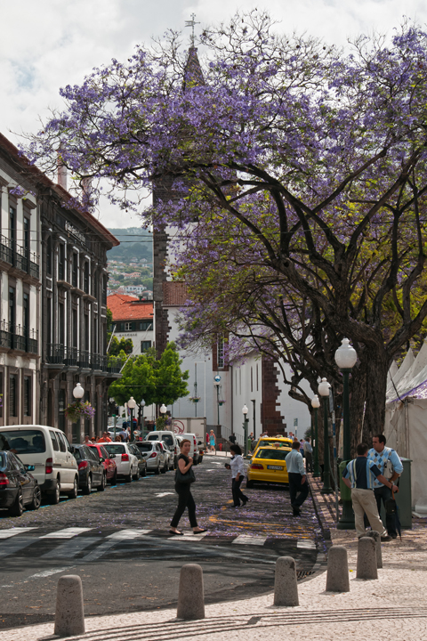 713_Madera_Funchal.jpg