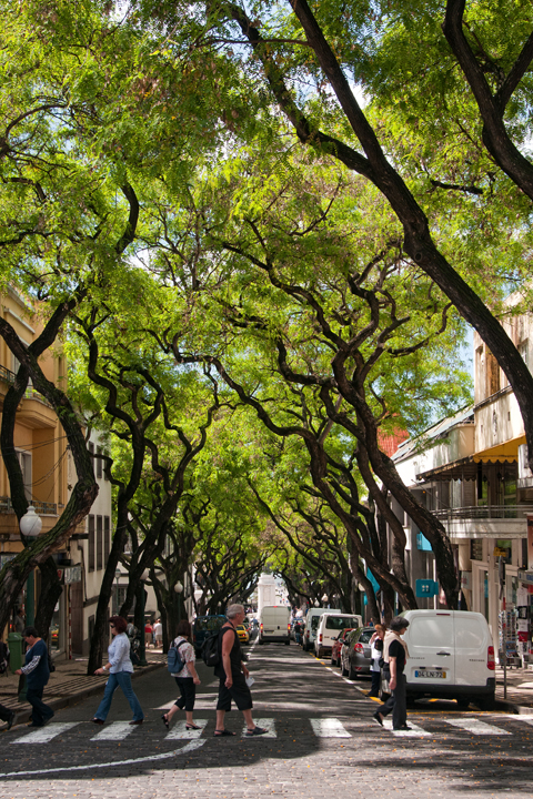 724_Madera_Funchal.jpg