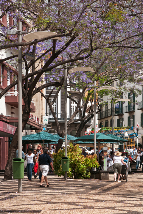 728_Madera_Funchal.jpg