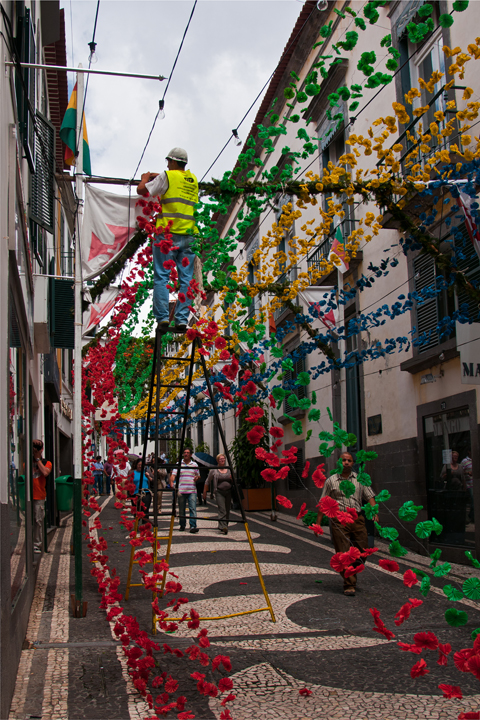 731_Madera_Funchal.jpg