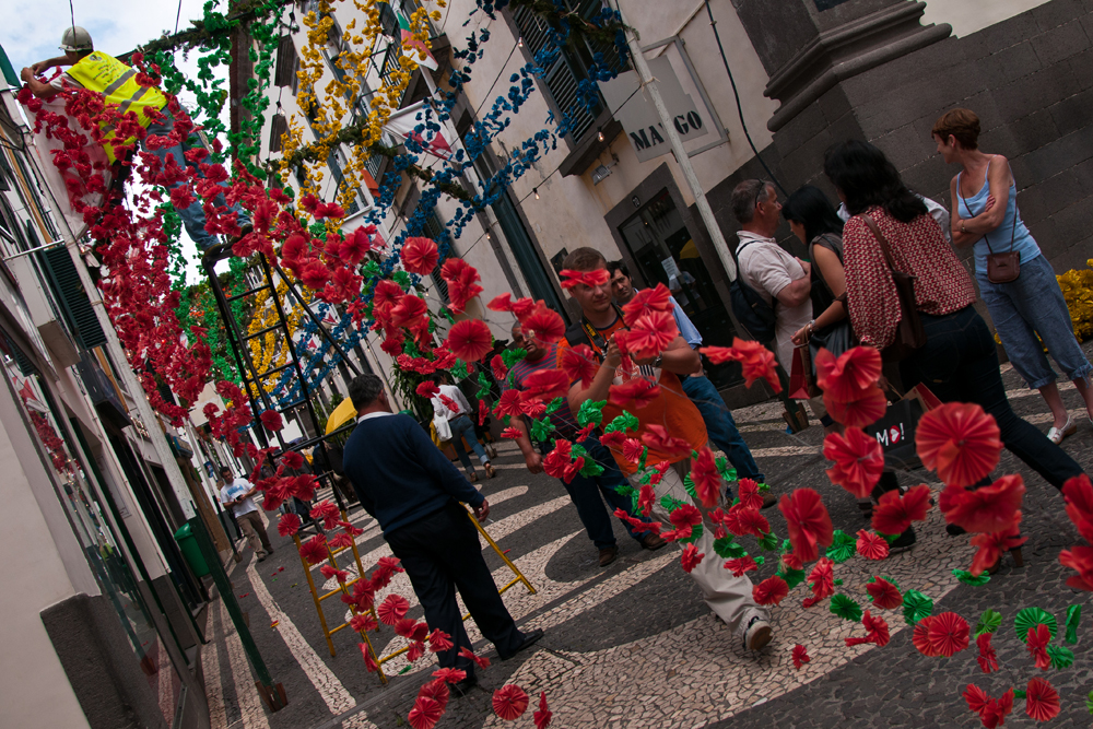732_Madera_Funchal.jpg