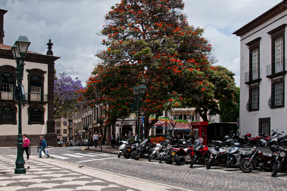 737_Madera_Funchal.jpg
