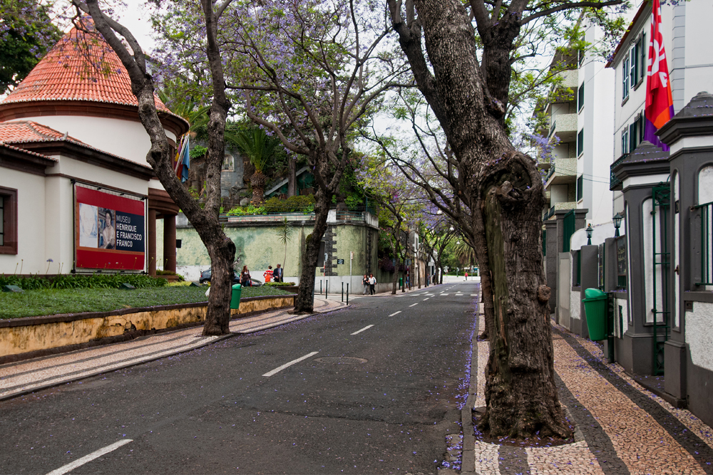 745_Madera_Funchal.jpg