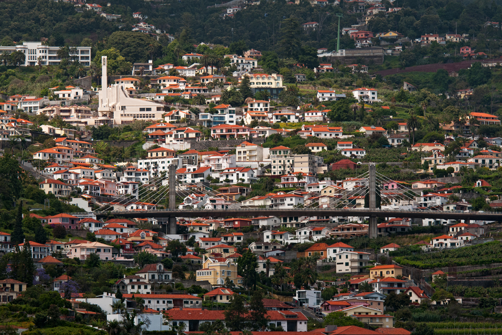 767_Madera_Funchal.jpg