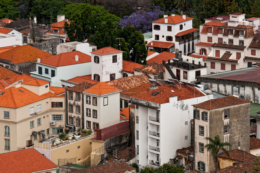 770_Madera_Funchal.jpg