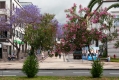705_Madera_Funchal