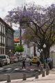713_Madera_Funchal