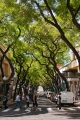 724_Madera_Funchal