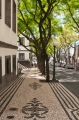 725_Madera_Funchal