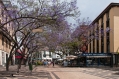 727_Madera_Funchal