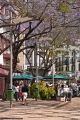 728_Madera_Funchal