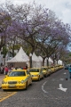 729_Madera_Funchal