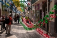 733_Madera_Funchal