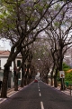 746_Madera_Funchal