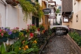 761_Madera_Funchal