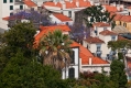 769_Madera_Funchal