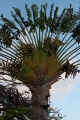 033_Madera_Funchal
