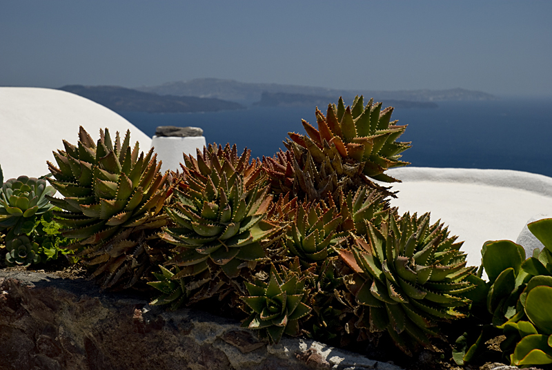 137_Santorini_Finikia.jpg