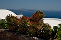 137_Santorini_Finikia