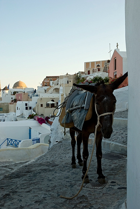 169_Santorini_Oia.jpg